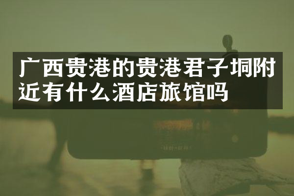 广西贵港的贵港君子垌附近有什么酒店旅馆吗