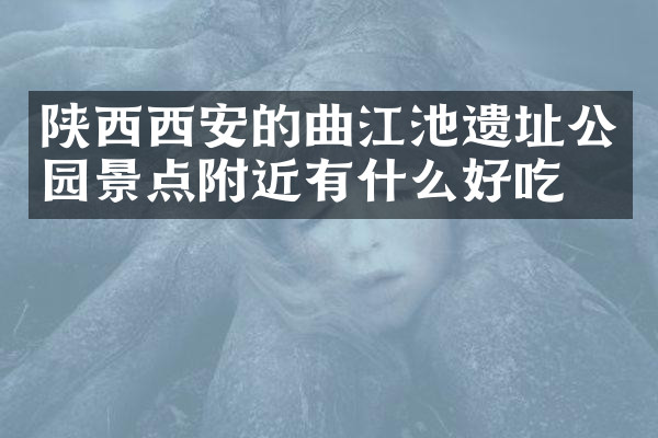 陕西西安的曲江池遗址公园景点附近有什么好吃的