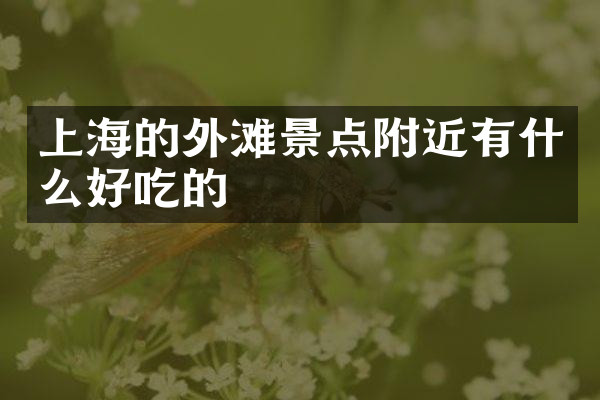 上海的外滩景点附近有什么好吃的