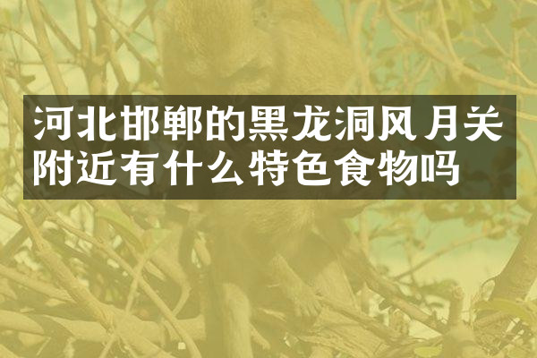 河北邯郸的黑龙洞风月关附近有什么特色食物吗