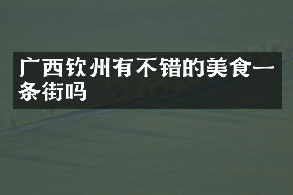 广西钦州有不错的美食一条街吗