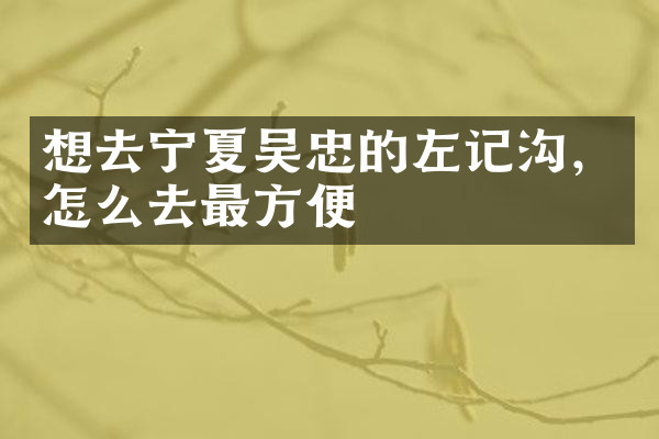 想去宁夏吴忠的左记沟，怎么去最方便