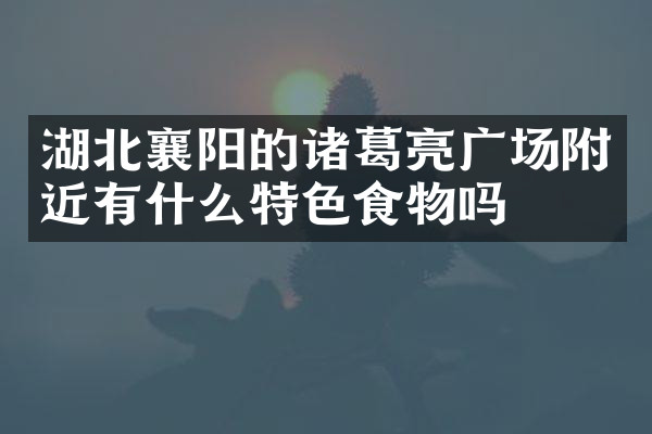 湖北襄阳的诸葛亮广场附近有什么特色食物吗
