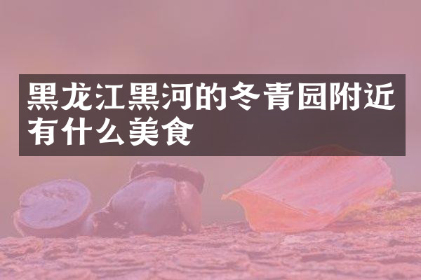 黑龙江黑河的冬青园附近有什么美食