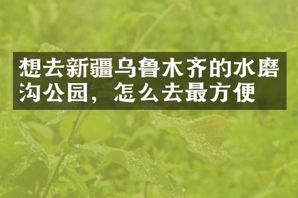 想去新疆乌鲁木齐的水磨沟公园，怎么去最方便
