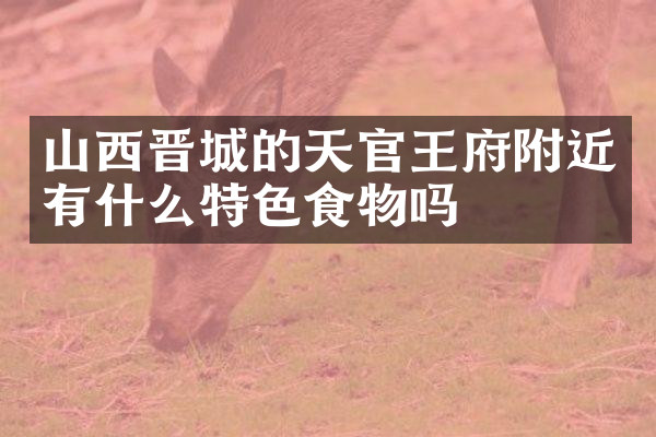山西晋城的天官王府附近有什么特色食物吗