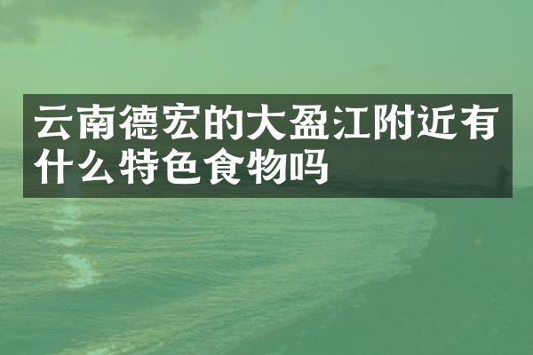 云南德宏的大盈江附近有什么特色食物吗