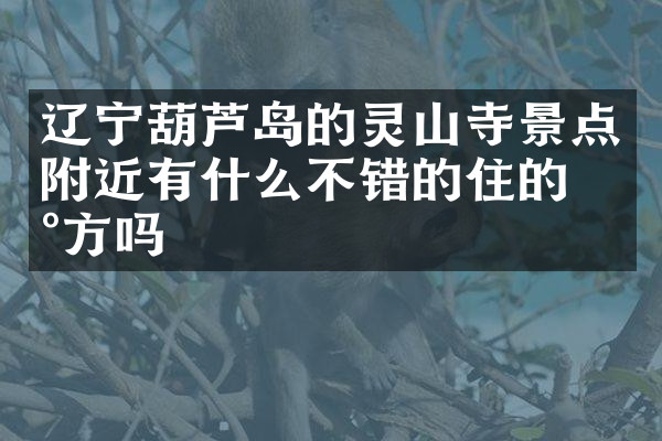 辽宁葫芦岛的灵山寺景点附近有什么不错的住的地方吗