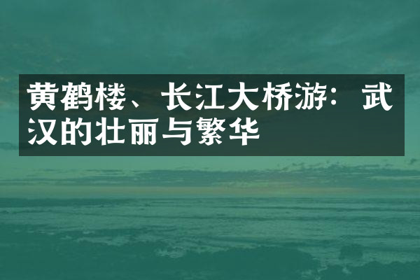 黄鹤楼、长江大桥游：武汉的壮丽与繁华