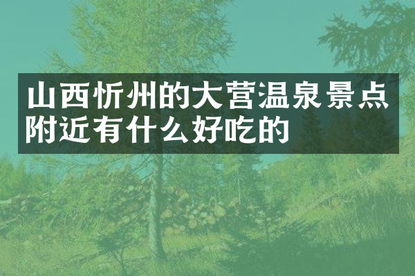 山西忻州的大营温泉景点附近有什么好吃的
