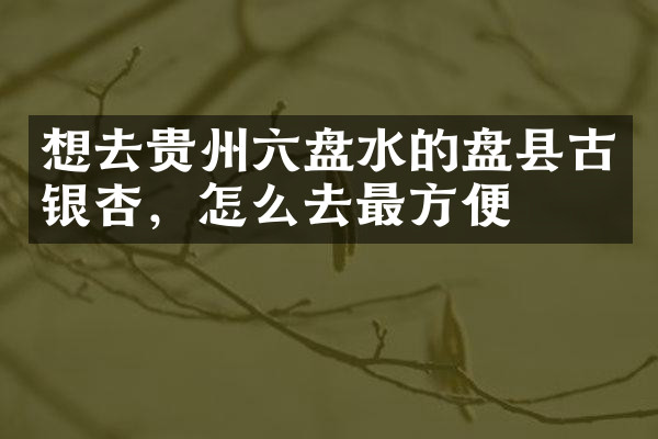 想去贵州六盘水的盘县古银杏，怎么去最方便