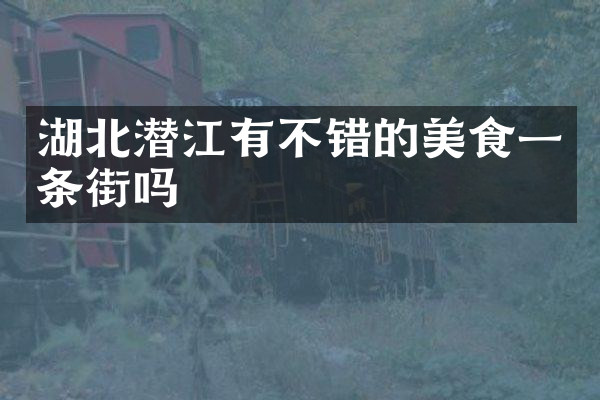 湖北潜江有不错的美食一条街吗