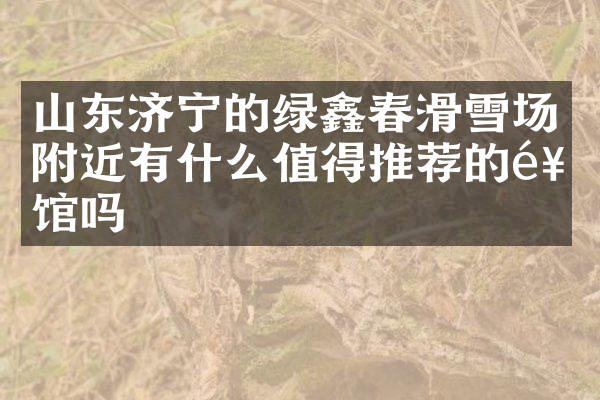 山东济宁的绿鑫春滑雪场附近有什么值得推荐的饭馆吗
