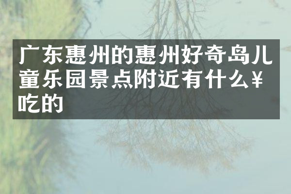 广东惠州的惠州好奇岛儿童乐园景点附近有什么好吃的