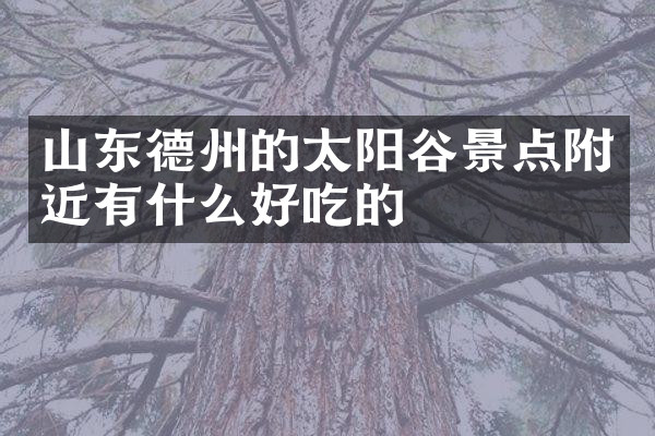 山东德州的太阳谷景点附近有什么好吃的