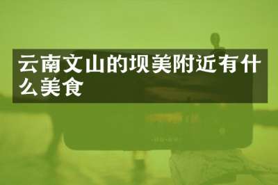 云南文山的坝美附近有什么美食