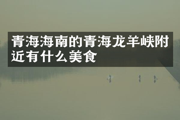 青海海南的青海龙羊峡附近有什么美食