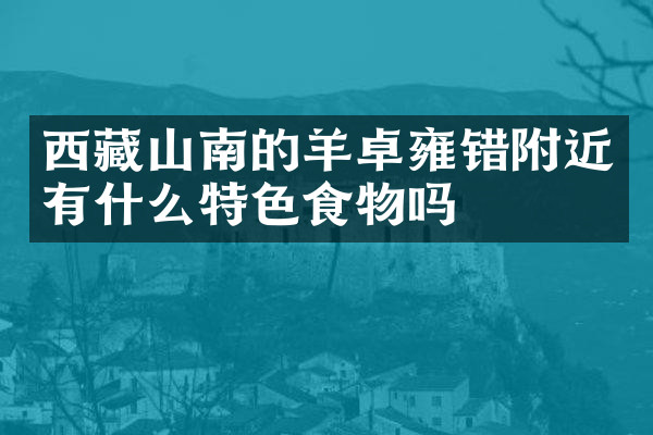 西藏山南的羊卓雍错附近有什么特色食物吗