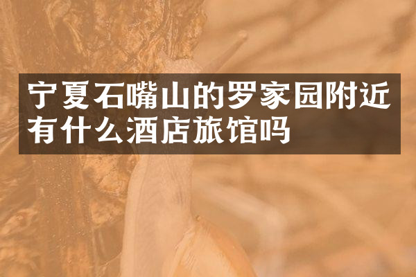 宁夏石嘴山的罗家园附近有什么酒店旅馆吗