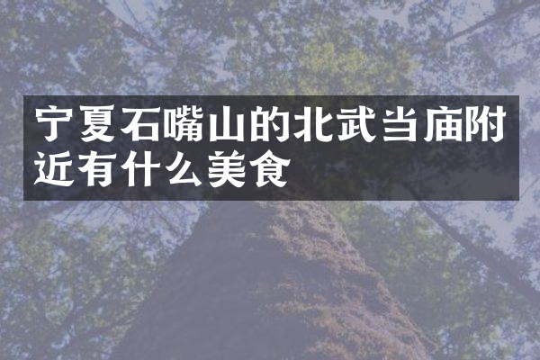 宁夏石嘴山的北武当庙附近有什么美食