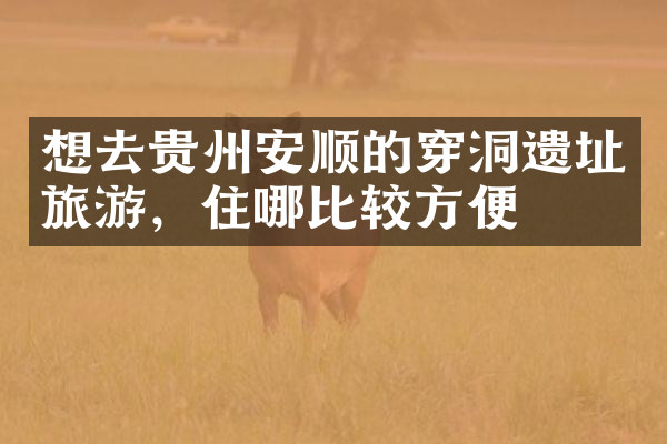 想去贵州安顺的穿洞遗址旅游，住哪比较方便