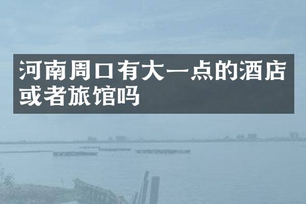 河南周口有大一点的酒店或者旅馆吗