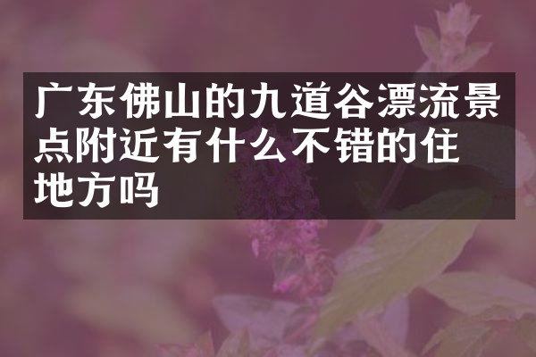 广东佛山的九道谷漂流景点附近有什么不错的住的地方吗