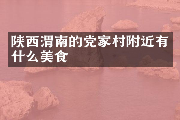 陕西渭南的党家村附近有什么美食