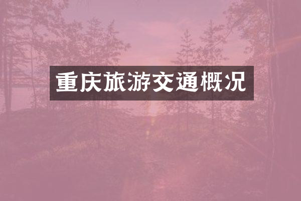 重庆旅游交通概况