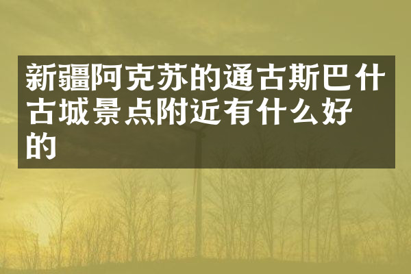 新疆阿克苏的通古斯巴什古城景点附近有什么好吃的
