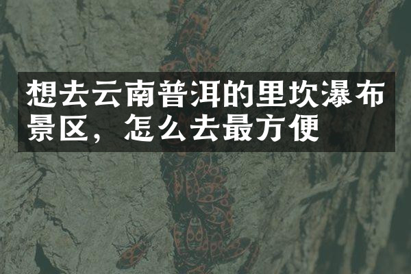 想去云南普洱的里坎瀑布景区，怎么去最方便