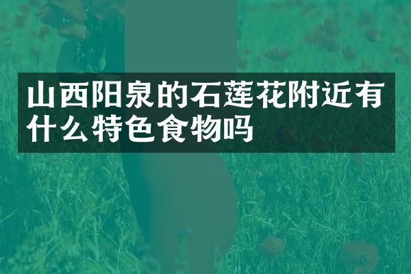 山西阳泉的石莲花附近有什么特色食物吗
