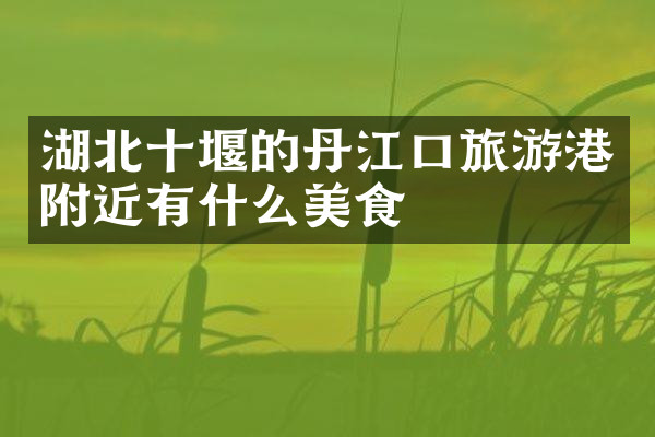 湖北十堰的丹江口旅游港附近有什么美食