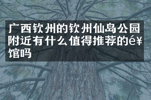 广西钦州的钦州仙岛公园附近有什么值得推荐的饭馆吗
