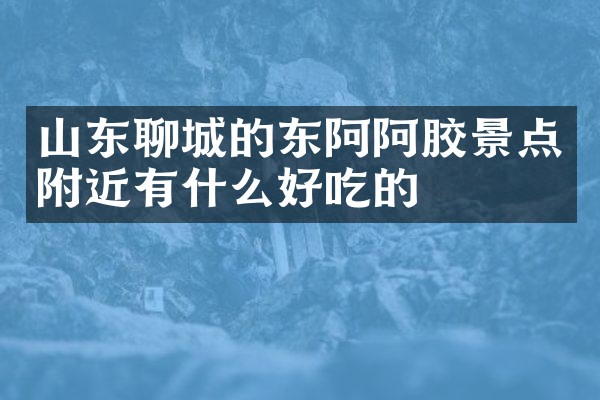 山东聊城的东阿阿胶景点附近有什么好吃的