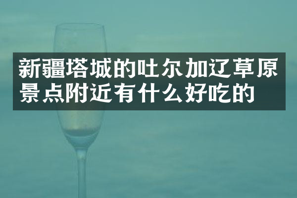 新疆塔城的吐尔加辽草原景点附近有什么好吃的
