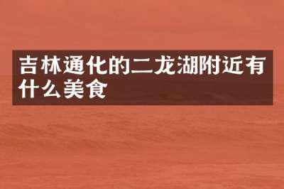 吉林通化的二龙湖附近有什么美食
