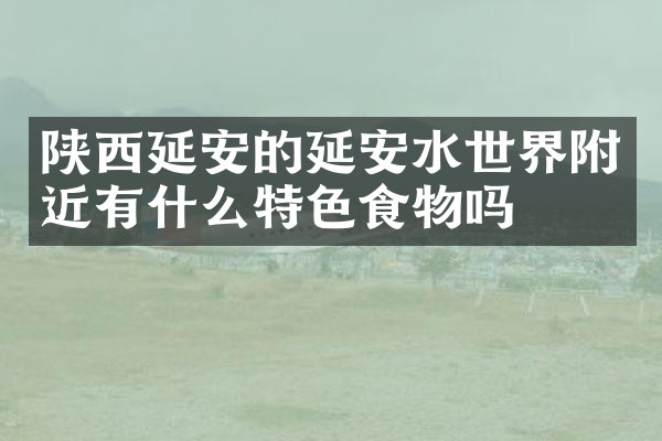 陕西延安的延安水世界附近有什么特色食物吗