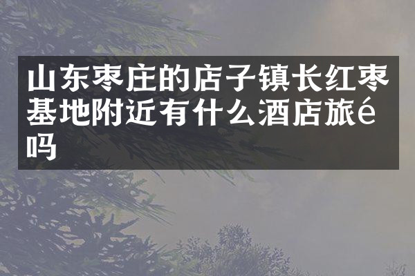 山东枣庄的店子镇长红枣基地附近有什么酒店旅馆吗