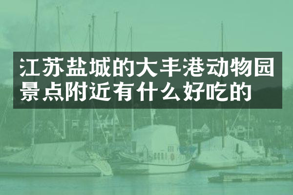 江苏盐城的大丰港动物园景点附近有什么好吃的