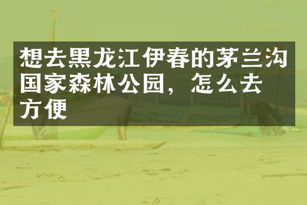 想去黑龙江伊春的茅兰沟国家森林公园，怎么去最方便