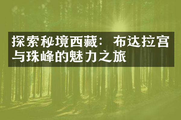 探索秘境西藏：布达拉宫与珠峰的魅力之旅