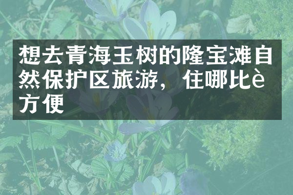 想去青海玉树的隆宝滩自然保护区旅游，住哪比较方便