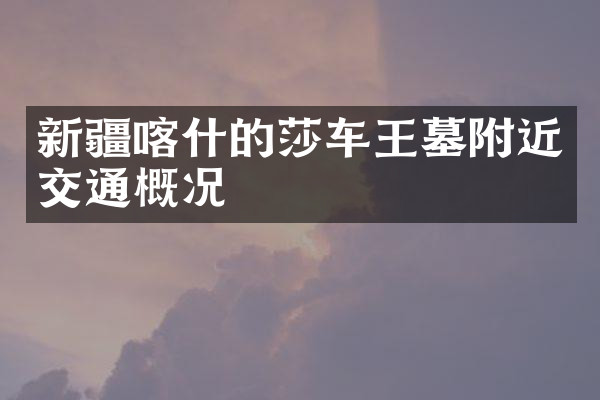 新疆喀什的莎车王墓附近交通概况