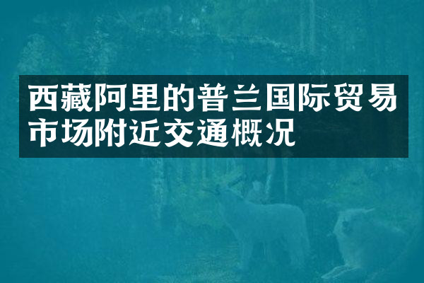 西藏阿里的普兰国际贸易市场附近交通概况