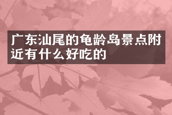 广东汕尾的龟龄岛景点附近有什么好吃的