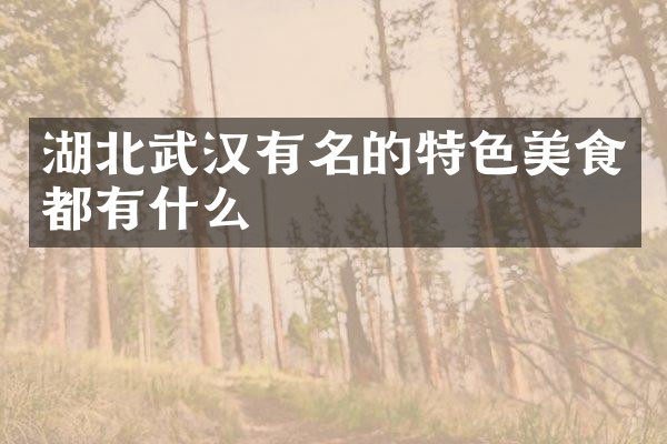 湖北武汉有名的特色美食都有什么