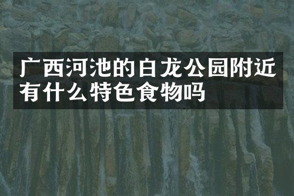 广西河池的白龙公园附近有什么特色食物吗