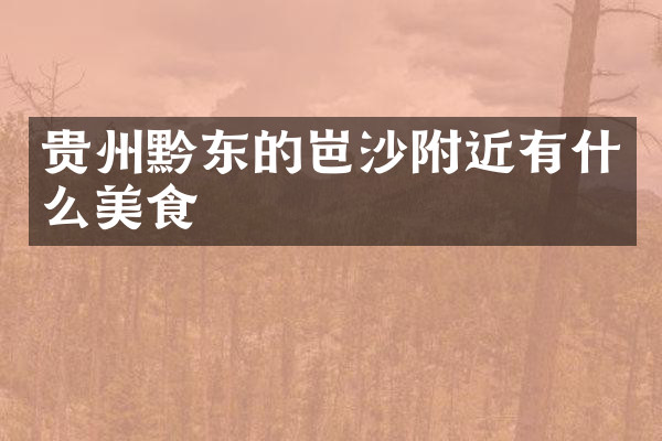 贵州黔东的岜沙附近有什么美食