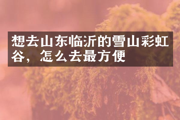 想去山东临沂的雪山彩虹谷，怎么去最方便